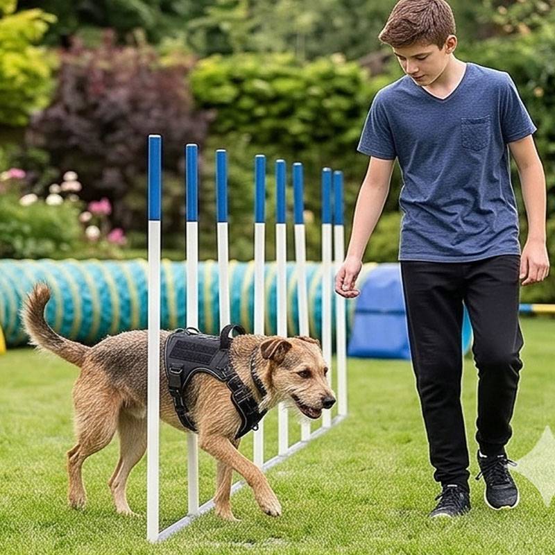 Universal Vest Harness Dog Foo - đánh giá và giá Food Snacks For Hiking