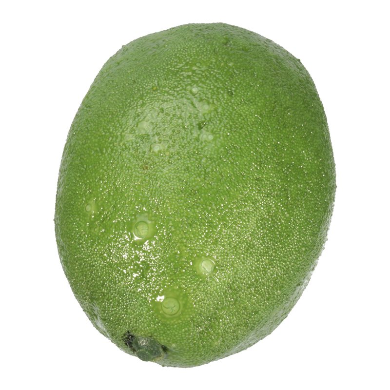 36 X Realistic Lifelike Artifi - đánh giá và giá Foods X